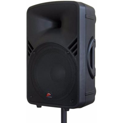 Article discontinué - JB SYSTEMS PPA 121 Enceinte portable filaire 12" 250W RMS MP3-player, FM radio, 2mic + 1line in