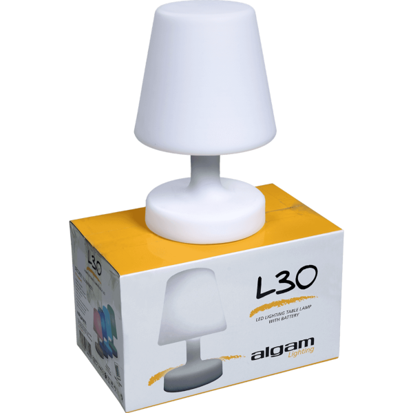 Lampe de table lumineuse LED RGB - 19 x 19 x 27 cm - Mobilier lumineux