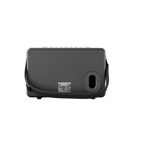 C Perkins ROADY FL enceinte autonome portable 100W avec micro sans fil et Bluetooth TWS