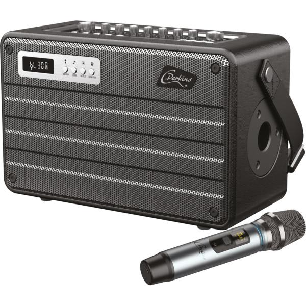 C Perkins ROADY FL enceinte autonome portable 100W avec micro sans fil et Bluetooth TWS